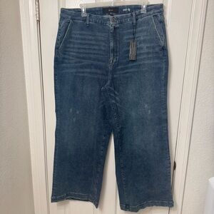 la joie Long Blue Wide Leg Denim Jeans Plus Size 24W High Rise Relaxed Fit NWT